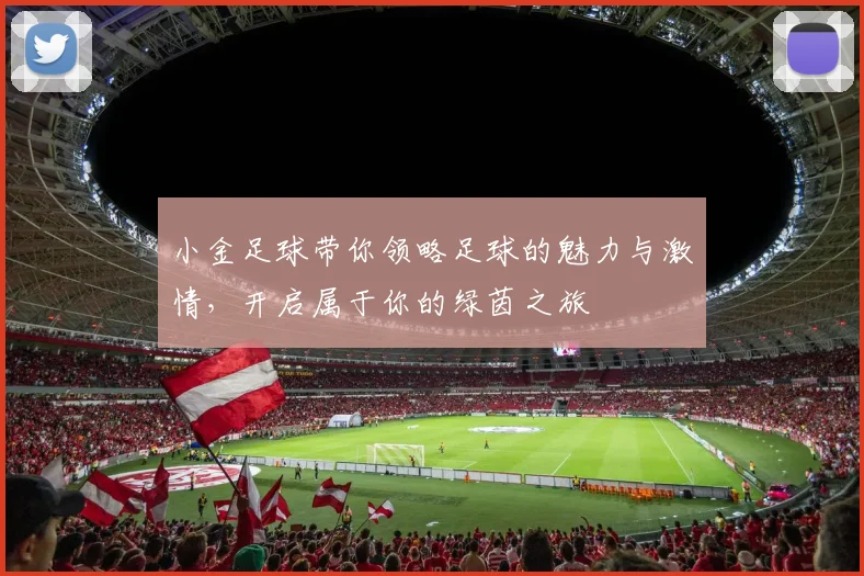 小金足球带你领略足球的魅力与激情，开启属于你的绿茵之旅