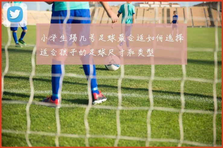 小学生踢几号足球最合适如何选择适合孩子的足球尺寸和类型