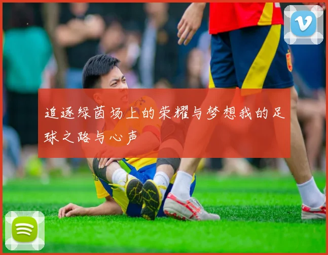 追逐绿茵场上的荣耀与梦想我的足球之路与心声