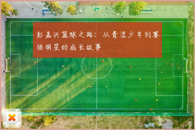 彭嘉兴篮球之路：从青涩少年到赛场明星的成长故事