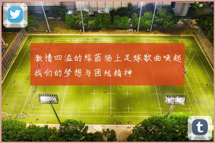 激情四溢的绿茵场上足球歌曲唤起我们的梦想与团结精神