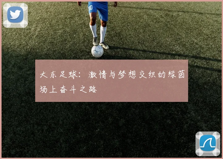 大东足球：激情与梦想交织的绿茵场上奋斗之路