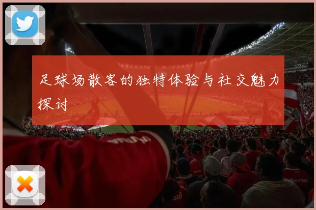 足球场散客的独特体验与社交魅力探讨
